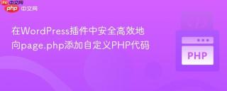 在WordPress插件中安全高效地向page.php添加自定义PHP代码