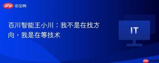 百川智能王小川：我不是在找方向，我是在等技术