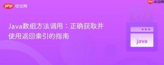 Java数组方法调用：正确获取并使用返回索引的指南