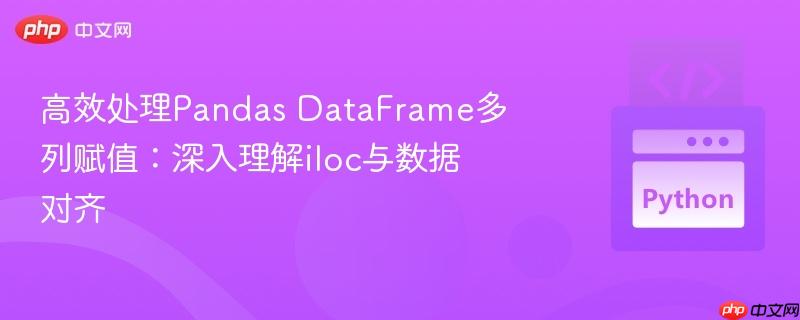 高效处理pandas dataframe多列赋值：深入理解iloc与数据对齐