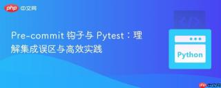 Pre-commit 钩子与 Pytest：理解集成误区与高效实践