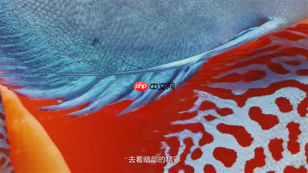 六大绝技升级巨大！华为Mate 80系列首发第二代红枫影像：实拍视频公布