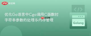 优化Go语言中Cgo调用C函数时字符串参数的处理与内存管理
