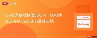Go语言处理嵌套JSON：结构体定义与Unmarshal最佳实践