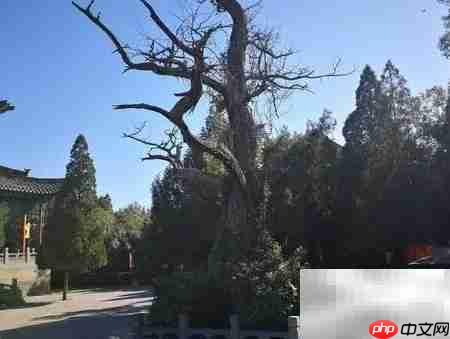 临汾尧庙游玩全攻略