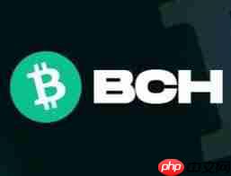 比特币现金币bch能否达到10000美元