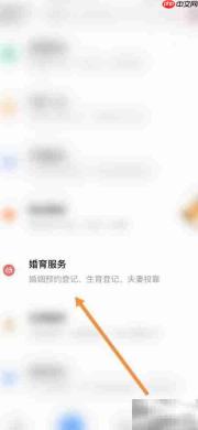 爱山东出生证办理指南