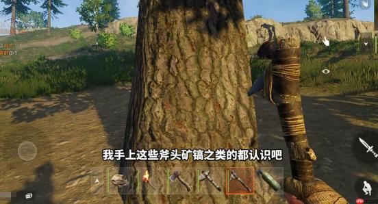 《失控进化》开局发育攻略