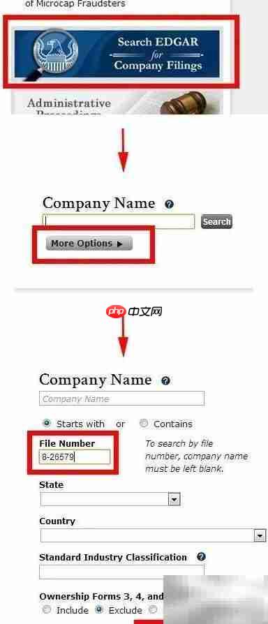 外汇平台监管查询指南