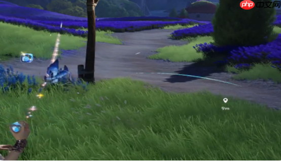 《伊莫》女巫草介绍