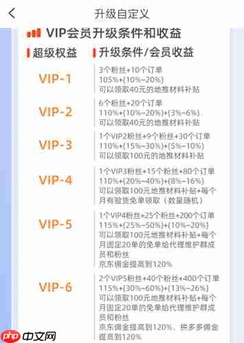 《返利优惠券联盟》升级权益介绍