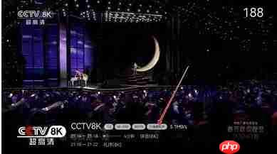 小飞电视4K和8K频道没声音处理方法