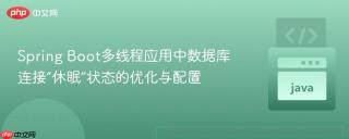 Spring Boot多线程应用中数据库连接“休眠”状态的优化与配置