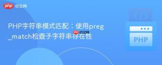 PHP字符串模式匹配：使用preg_match检查子字符串存在性