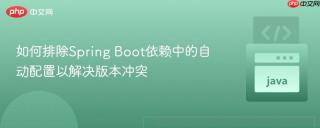 如何排除Spring Boot依赖中的自动配置以解决版本冲突
