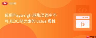 使用Playwright获取页面中不可见DOM元素的‘value’属性