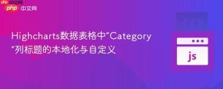 Highcharts数据表格中“Category”列标题的本地化与自定义