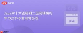 Java中十六进制到二进制转换的字节对齐与前导零处理