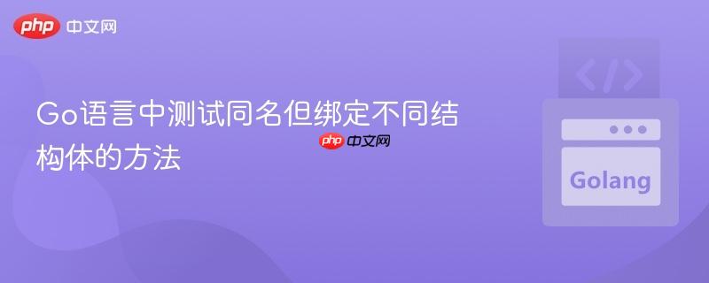 Go语言中测试同名但绑定不同结构体的方法