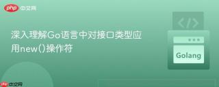 深入理解Go语言中对接口类型应用new()操作符