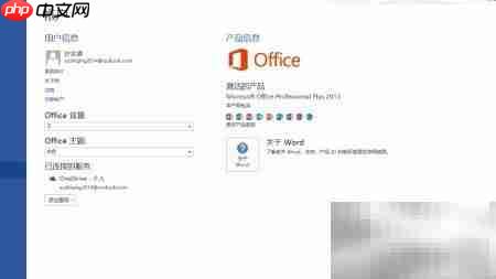 Office2013/2010激活方法