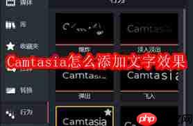 Camtasia如何添加文字效果