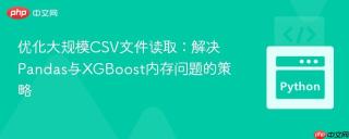 优化大规模CSV文件读取:解决Pandas与XGBoost内存问题的策略