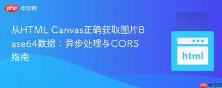 从HTML Canvas正确获取图片Base64数据：异步处理与CORS指南