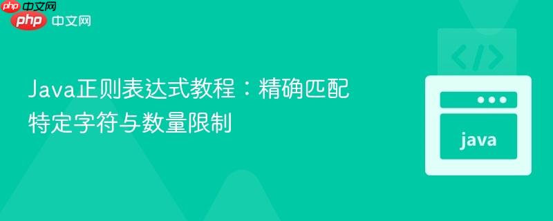 java正则表达式教程:精确匹配特定字符与数量限制