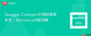 Swagger Codegen中强制参数非空：@Schema注解详解