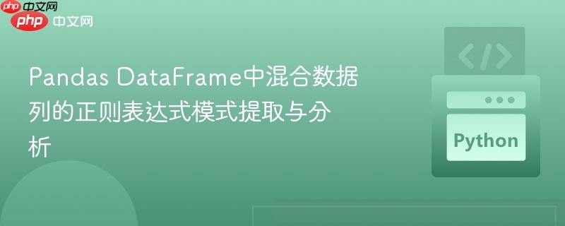 pandas dataframe中混合数据列的正则表达式模式提取与分析