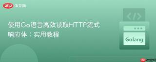 使用go语言高效读取http流式响应体:实用教程