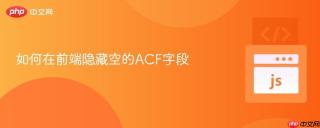 如何在前端隐藏空的acf字段