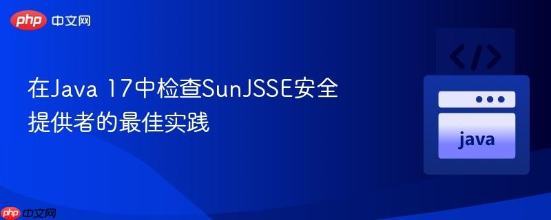 在java 17中检查sunjsse安全提供者的最佳实践