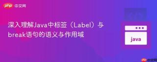 深入理解Java中标签（Label）与break语句的语义与作用域