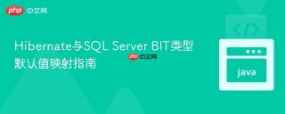 Hibernate与SQL Server BIT类型默认值映射指南