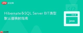 Hibernate与SQL Server BIT类型默认值映射指南