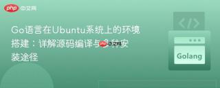 Go语言在Ubuntu系统上的环境搭建：详解源码编译与多种安装途径