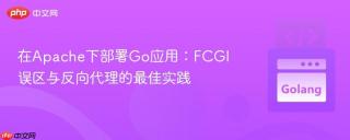 在Apache下部署Go应用:FCGI误区与反向代理的最佳实践