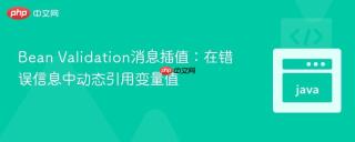 Bean Validation消息插值：在错误信息中动态引用变量值