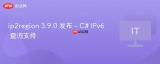 ip2region 3.9.0 发布 - C# IPv6 查询支持