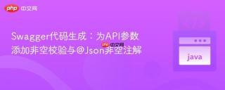 Swagger代码生成：为API参数添加非空校验与@Json非空注解