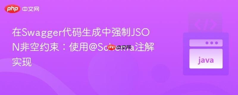 在Swagger代码生成中强制JSON非空约束:使用@Schema注解实现