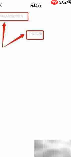 凤凰书苑兑换码使用指南