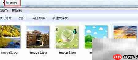 Flash制作动态相册技巧