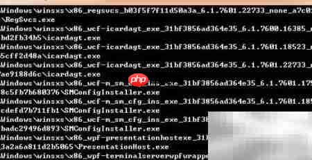 显示所有exe文件的bat命令