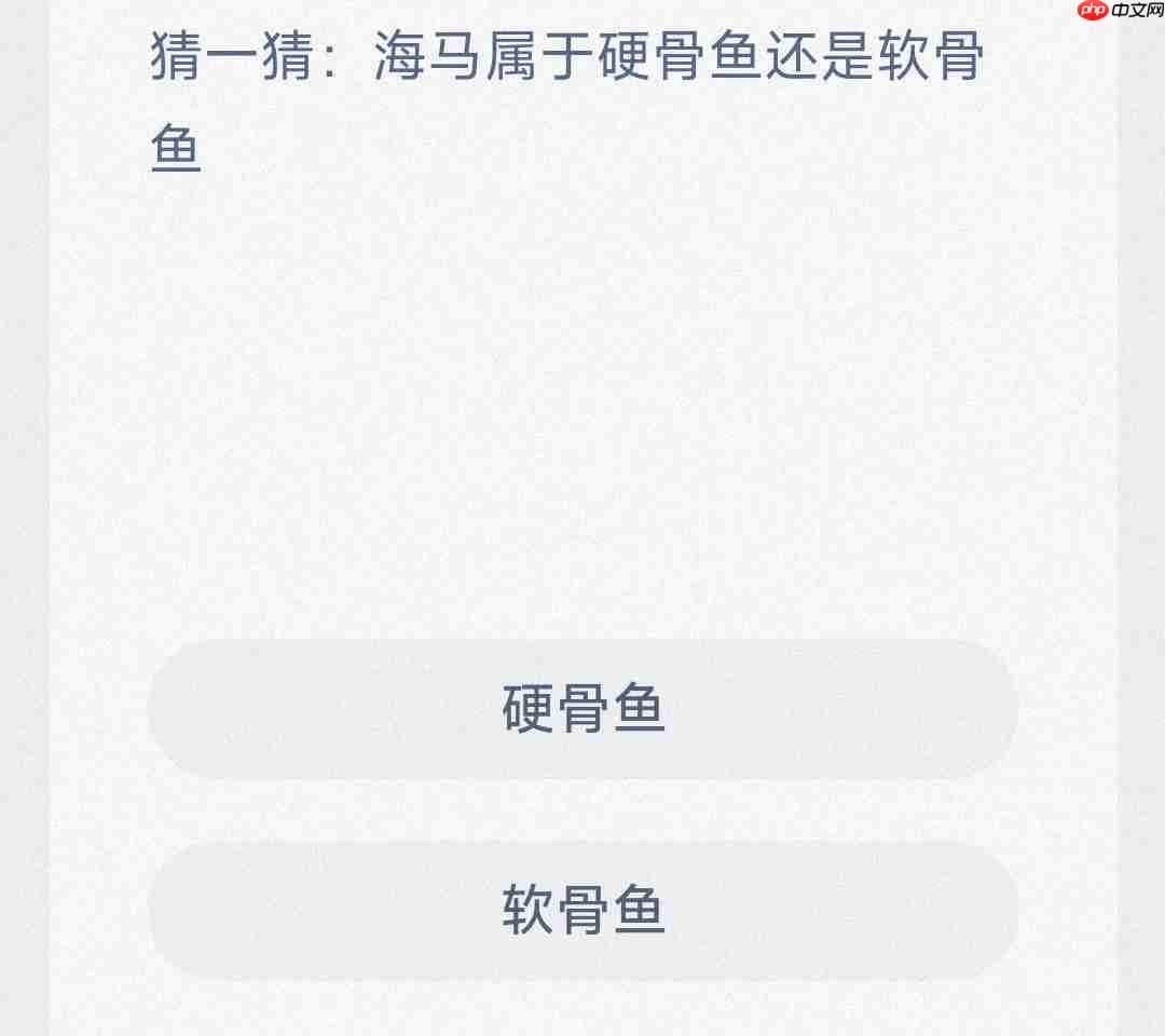 猜一猜海马属于硬骨鱼还是软骨鱼