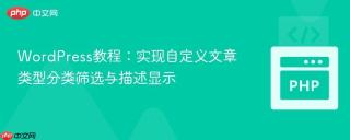 WordPress教程：实现自定义文章类型分类筛选与描述显示