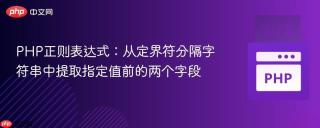 PHP正则表达式：从定界符分隔字符串中提取指定值前的两个字段