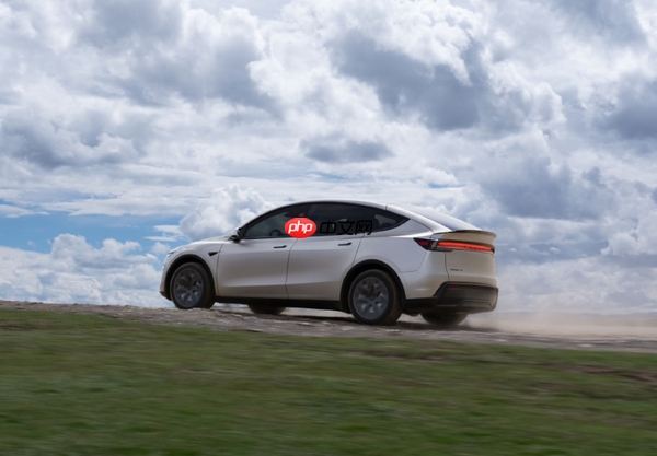 特斯拉公布12月购车权益：五年免息＋补贴 FSD可转移